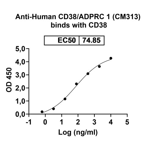 Anti-Human CD38/ADPRC 1 Reference Antibody (CM313)