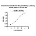 Anti-Human VTCN1/B7-H4 Reference Antibody (AZD8205)