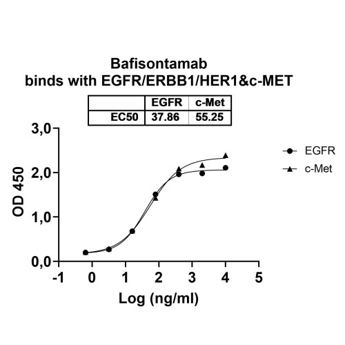 Anti-Human EGFR/ERBB1/HER1 & c-MET Bispecific Reference Antibody (Bafisontamab, RUO) Anti-Human EGFR/ERBB1/HER1 & c-MET Bispecific Reference Antibody (Bafisontamab, RUO)