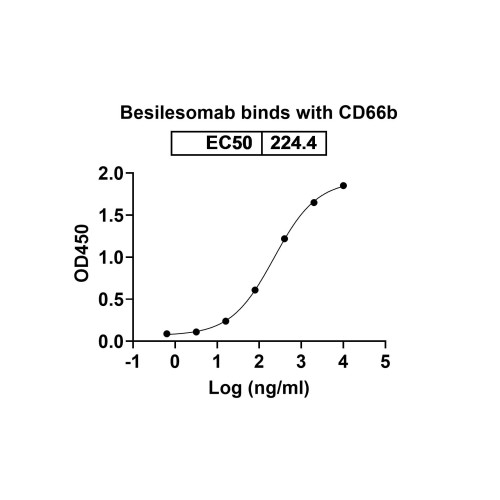 Anti-Human CEACAM‑8/CD66b Reference Antibody (Besilesomab, RUO)
