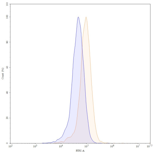 Anti-Human VEGF Reference Antibody (Bevacizumab, RUO) Anti-Human VEGF Reference Antibody (Bevacizumab, RUO)