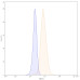 Anti-Human VEGF Reference Antibody (Bevacizumab, RUO) Anti-Human VEGF Reference Antibody (Bevacizumab, RUO)