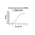 Anti-Human CD340/ERBB2/HER2 & CD3E Bispecific Reference Antibody (Ertumaxomab, RUO)