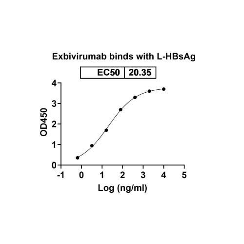 Anti-HBsAg Reference Antibody (Exbivirumab, RUO) Anti-HBsAg Reference Antibody (Exbivirumab, RUO)