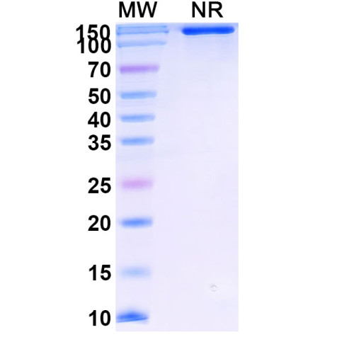 Research Grade Ipafricept