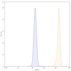 Anti-Human IL-1 alpha/IL-1F1 Reference Antibody (Lutikizumab, RUO)