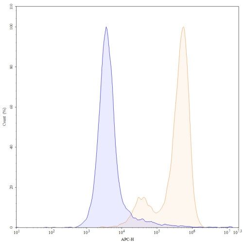 Anti-Human CEACAM-5/CD66e Reference Antibody (Tusamitamab, RUO)