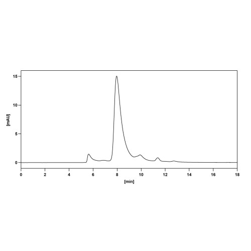 Anti-Human CD262/TNFRSF10B/TRAIL-R2 Antibody (SAA1413) Anti-Human CD262/TNFRSF10B/TRAIL-R2 Antibody (SAA1413)