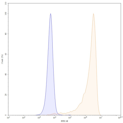 Anti-Human CD27 Antibody (5F24) Anti-Human CD27 Antibody (5F24)