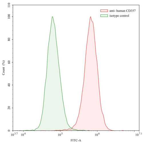 Anti-Human CD357/TNFRSF18/GITR Antibody (hu6C8) Anti-Human CD357/TNFRSF18/GITR Antibody (hu6C8)