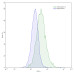 Anti-Human IL13 Antibody (SAA0382) Anti-Human IL13 Antibody (SAA0382)