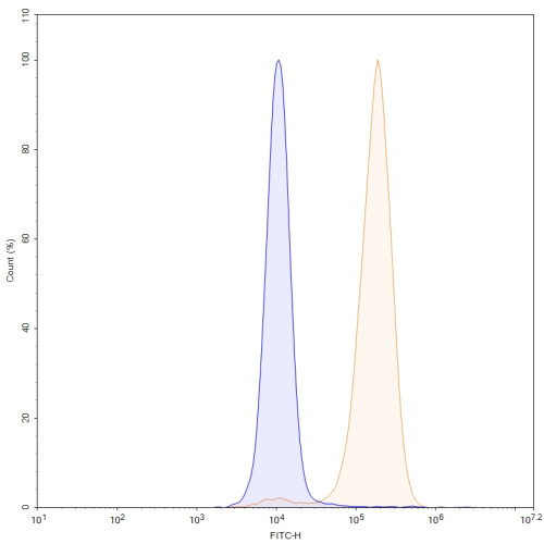 Anti-Human MSLN/Mesothelin Antibody (SS1) Anti-Human MSLN/Mesothelin Antibody (SS1)