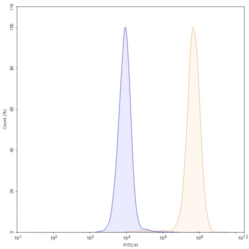 Anti-Human PODXL Antibody (Mab47)