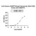 Anti-Human ANGPT2/Ang2 Nanobody (SAA1255)