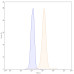 Anti-Human APOE Antibody (1D7) Anti-Human APOE Antibody (1D7)