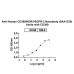 Anti-Human CD309/KDR/VEGFR-2 Nanobody (SAA1230) Anti-Human CD309/KDR/VEGFR-2 Nanobody (SAA1230)