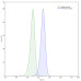 Anti-Human CD31/PECAM1 Antibody (SAA2178) Anti-Human CD31/PECAM1 Antibody (SAA2178)