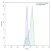 Anti-Human CXADR Antibody (SAA0357)