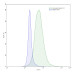 Anti-Human Gal-10/CLC Antibody (1D11)