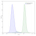 Anti-Human Gal-9/LGALS9 Antibody (G9.2-17)