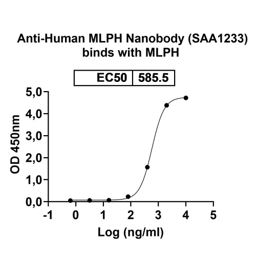 Anti-Human MLPH Nanobody (SAA1233) Anti-Human MLPH Nanobody (SAA1233)