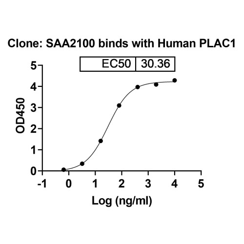 Anti-Human PLAC1 Antibody (SAA2100)