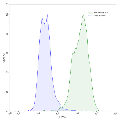 Anti-Mouse IL34 Antibody (FAb1.1) Anti-Mouse IL34 Antibody (FAb1.1)