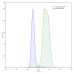 Anti-Mouse SOST Antibody (AbD09097) Anti-Mouse SOST Antibody (AbD09097)