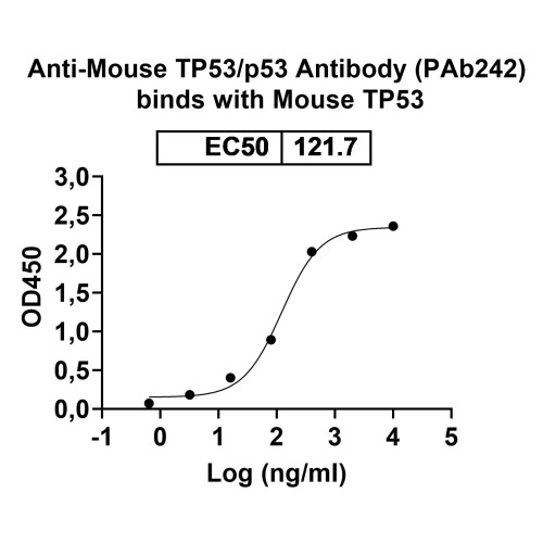 Anti-Mouse TP53/p53 Antibody (PAb242) Anti-Mouse TP53/p53 Antibody (PAb242)