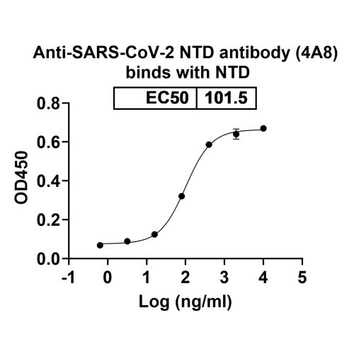 Anti-SARS-CoV-2 NTD antibody (4A8)