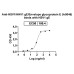 InVivoMAb Anti-HSV1/HHV1 gE/Envelope glycoprotein E (Iv0046) InVivoMAb Anti-HSV1/HHV1 gE/Envelope glycoprotein E (Iv0046)