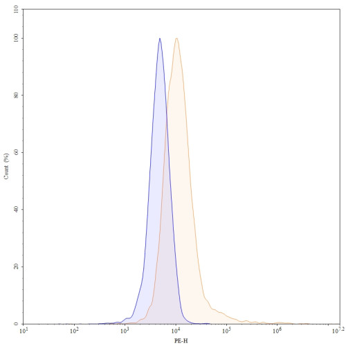 Mouse Anti-Human BMP2 Antibody (Iv0058)