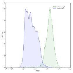 Anti-Human IgE/IGHE Antibody (SAA0343)