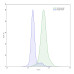 Anti-Human IgE/IGHE Antibody (SAA0343) Anti-Human IgE/IGHE Antibody (SAA0343)