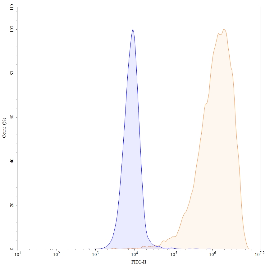 Flow CytoMetry for Anti-Human SSTR2/SRIF-1 Antibody (18087)