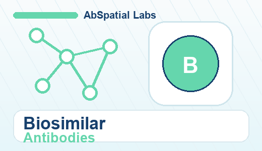 Biosimilar Antibodies