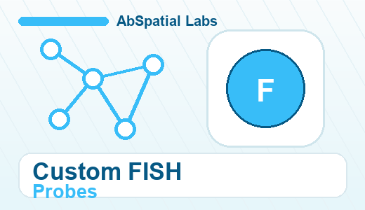 Custom FISH Probes