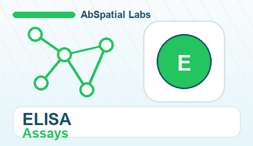 ELISA Assays
